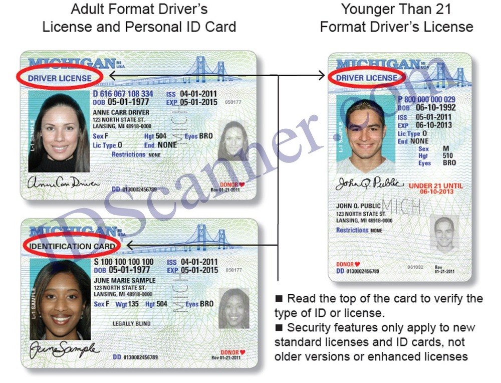 Where Is My Driving Licence Serial Number
